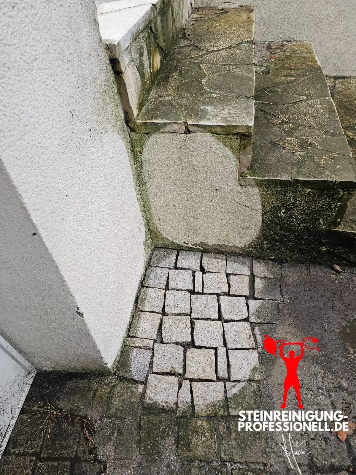 Kleinformatiges Klinkerpflaster mit Grünbelag an einer Hauswand, teilweise bearbeitet.