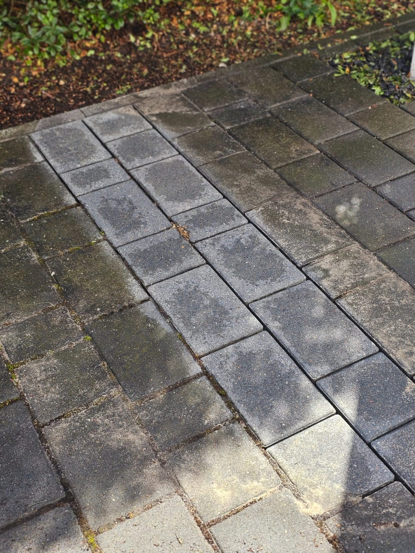 Steinmauerreinigung in Brandenburg Schorfheide