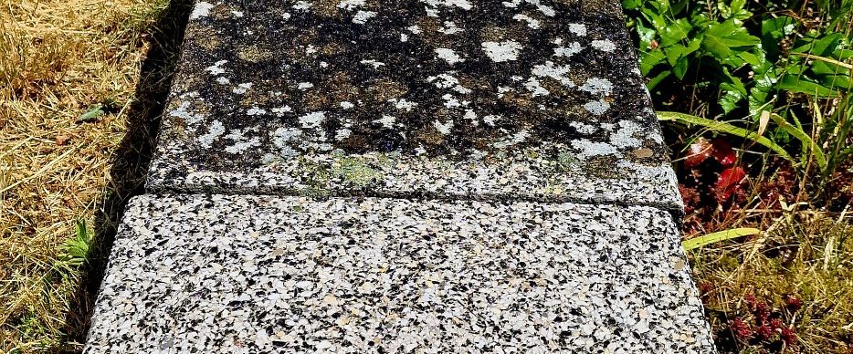 Steinmauerreinigung in Brandenburg Schorfheide