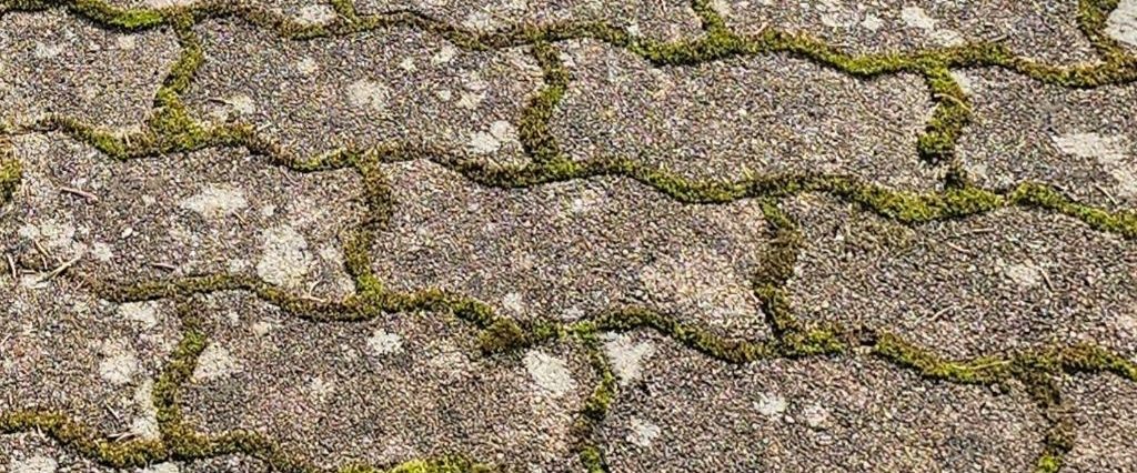 Fugenreinigung in Brandenburg